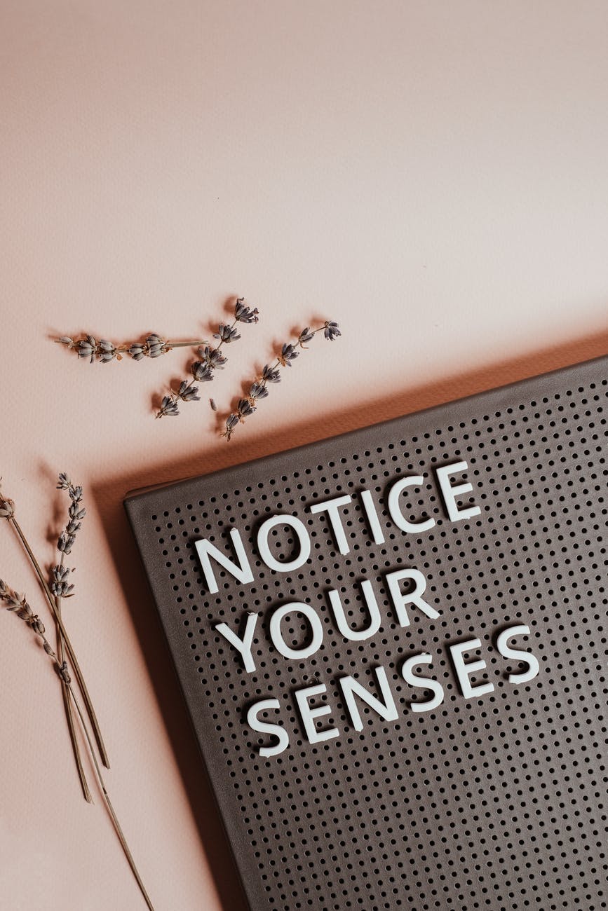stock fotografie desky s nápisem "notice your senses" vedle něj jsou sušené levandule